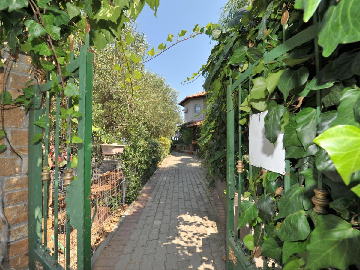 Alice Wonderland Home Nea Flogita Halkidiki Екстер'єр фото